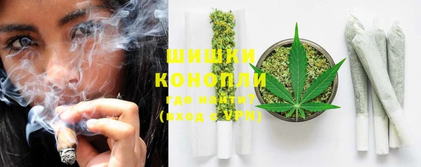 мдпв Мегион