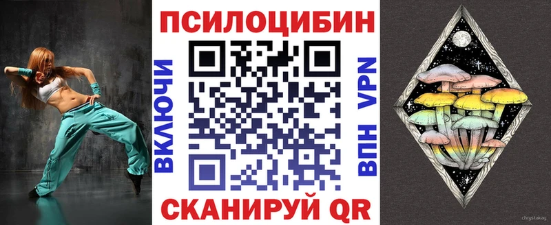 Галлюциногенные грибы Psilocybe  Томилино 