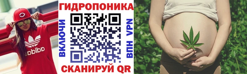 МАРИХУАНА OG Kush  Томилино 